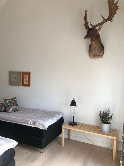 Cozy, Quiet Guest House Perfect For Business Or Pleasure Hillerod Ngoại thất bức ảnh